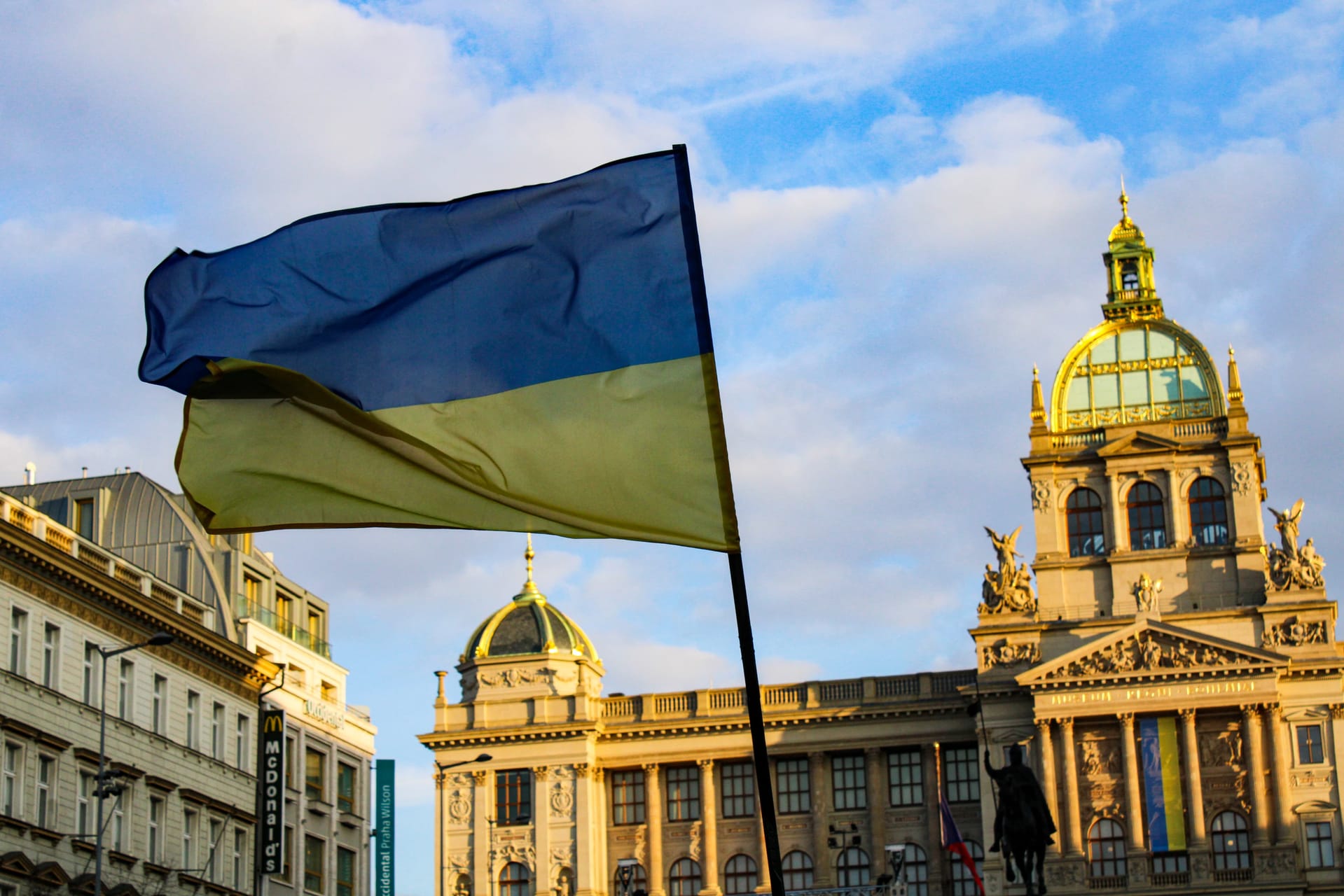 В центре Праги появились виртуальные подсолнухи — с их помощью можно поддержать Украину (фото)