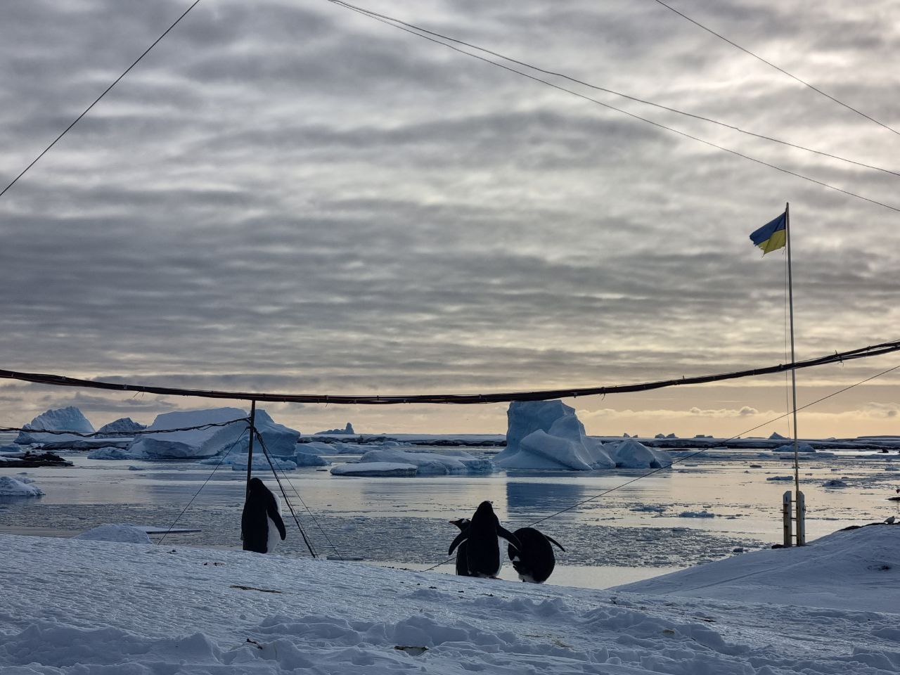 Українські полярники зафіксували найтеплішу зиму на станції «Академік Вернадський»