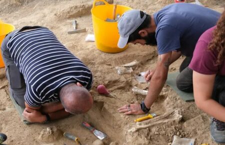 Археологи знайшли зуб віком 1,8 млн років
