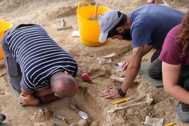 Археологи знайшли зуб віком 1,8 млн років