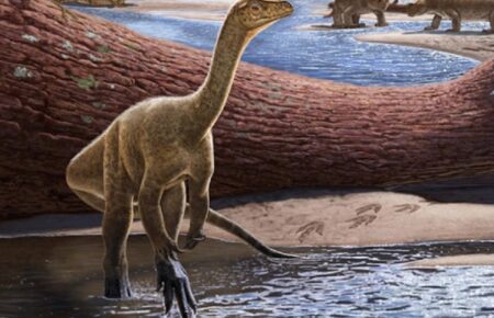 В Африці знайшли скелет динозавра, який жив 230 млн років тому