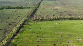 104 роки недостатньо для відновлення ґрунту після війни — еколог про досвід Франції