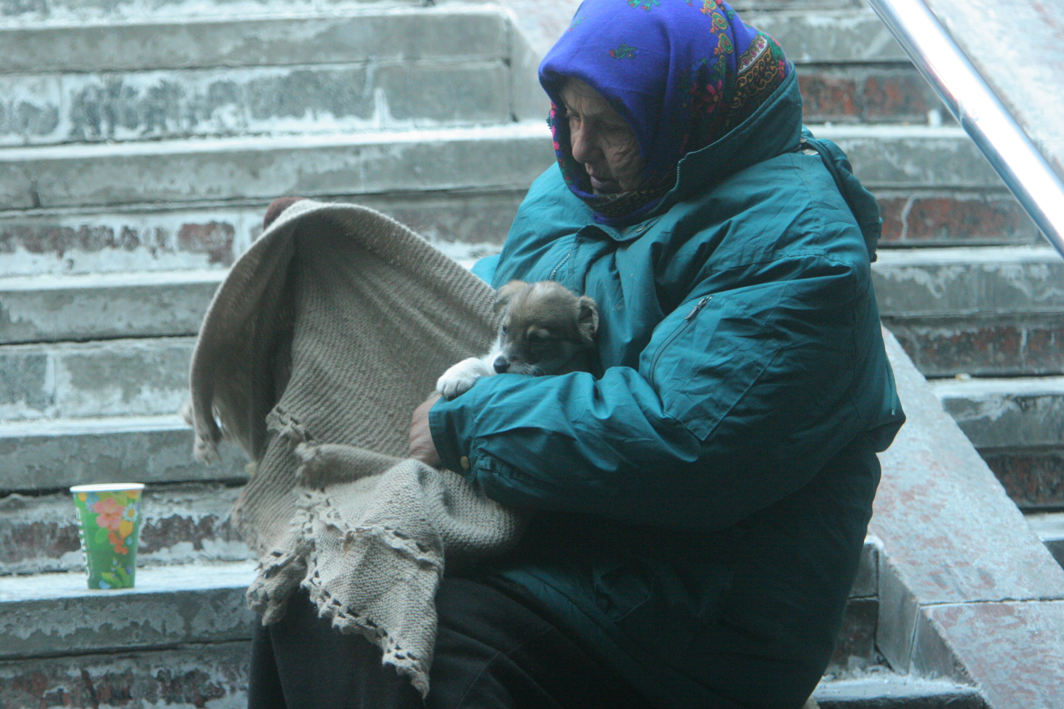 Кількість людей в Україні, які живуть за межею бідності, від 24 лютого збільшилася в десять разів