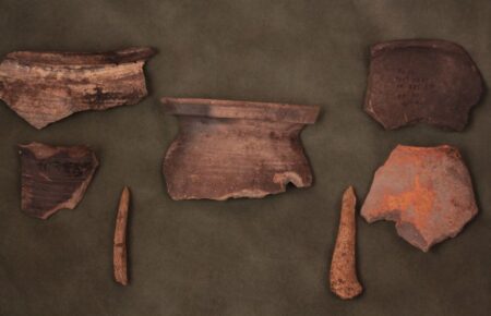Археологи виявили за рік понад 600 артефактів у заповіднику «Давній Пліснеськ» на Львівщині