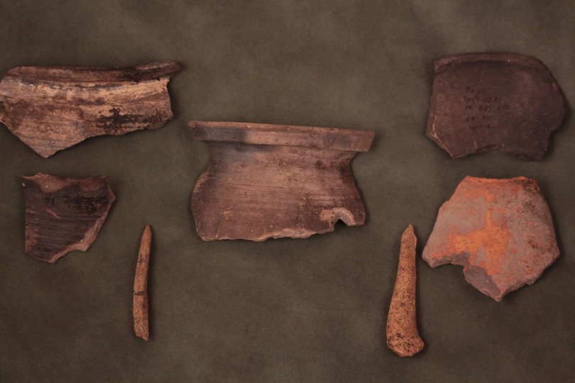 Археологи обнаружили за год более 600 артефактов в заповеднике «Древний Плиснеск» на Львовщине (фото)