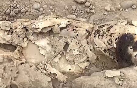 У Перу археологи розкопали 8 мумій колоніального періоду (ВІДЕО)