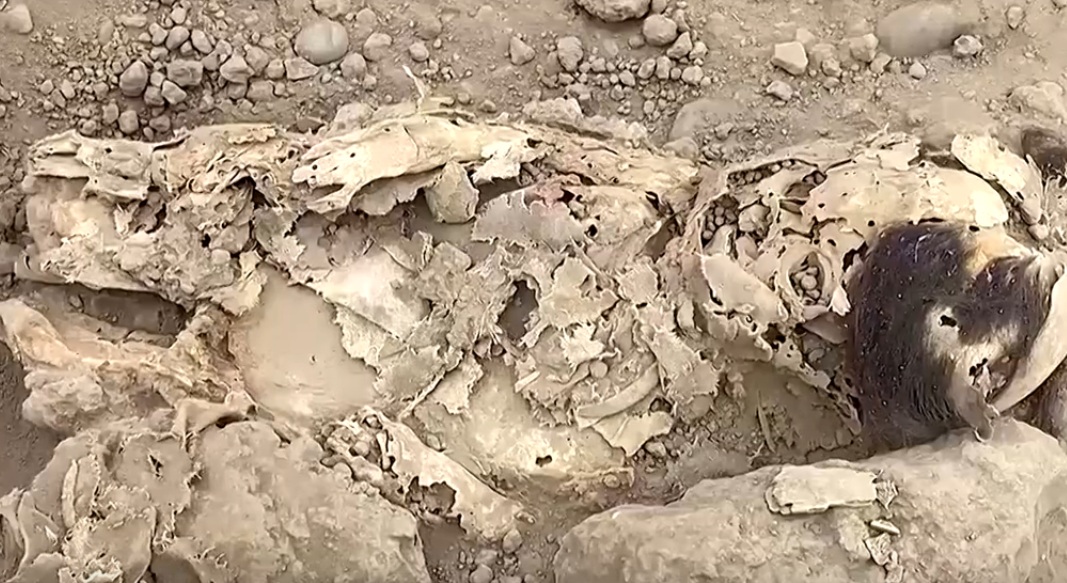 У Перу археологи розкопали 8 мумій колоніального періоду (ВІДЕО)