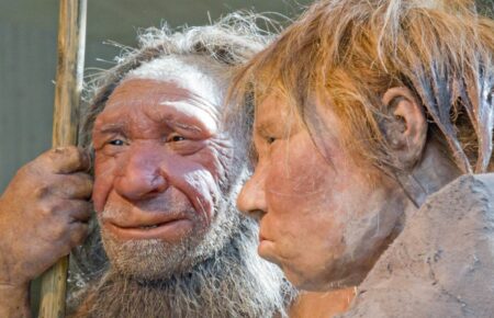 Неандертальцы могли вымереть из-за секса с людьми — ученые