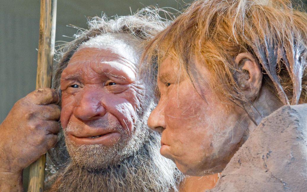 Неандертальці могли вимерти через секс із Homo sapiens — вчені