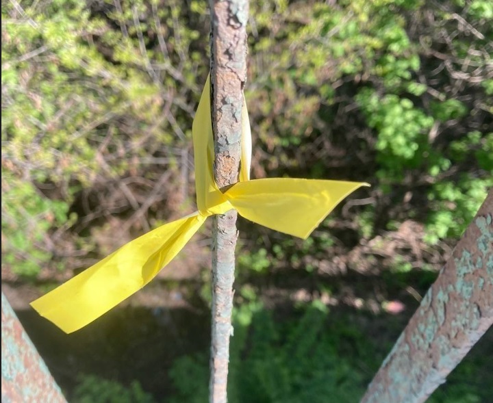 Рух «Жовта стрічка» проведе флешмоб на підтримку українців на тимчасово окупованих територіях