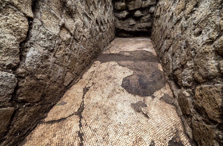 Археологи нашли в Неаполе античную мозаику возрастом более 2 тысяч лет