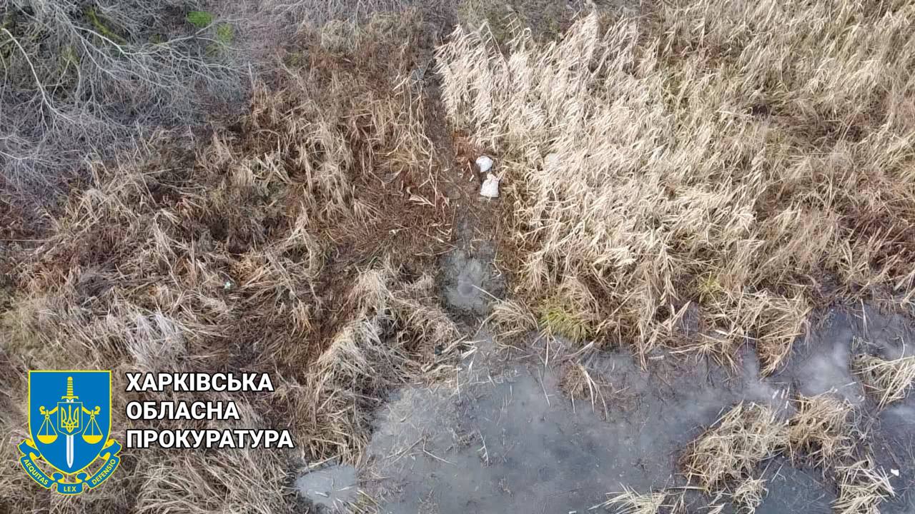 Батько із малолітнім сином підірвалися на міні у лісі на Харківщині (ФОТО)