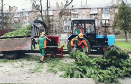 У Києві пункти утилізації новорічних ялинок працюватимуть до кінця січня