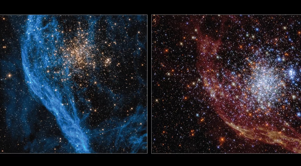 Космічний телескоп Hubble показав сузірʼя Золотої Риби в інфрачервоному та ультрафіолетовому діапазонах