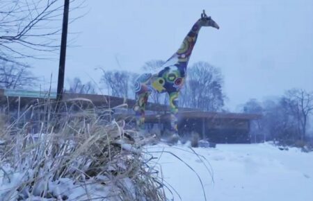 У Київському зоопарку зимують 200 врятованих від війни тварин — Кличко