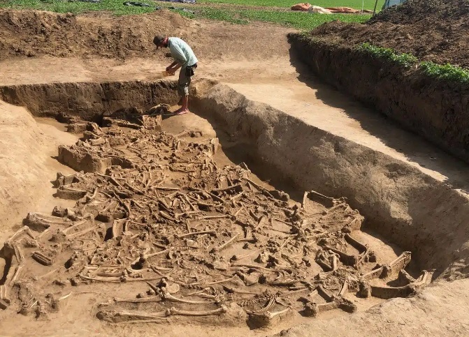 Археологи знайшли у Словаччині масове поховання часів раннього неоліту з останками обезголовлених тіл