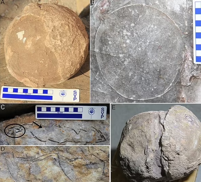 В Індії знайшли гніздо зі скам'янілими яйцями динозаврів