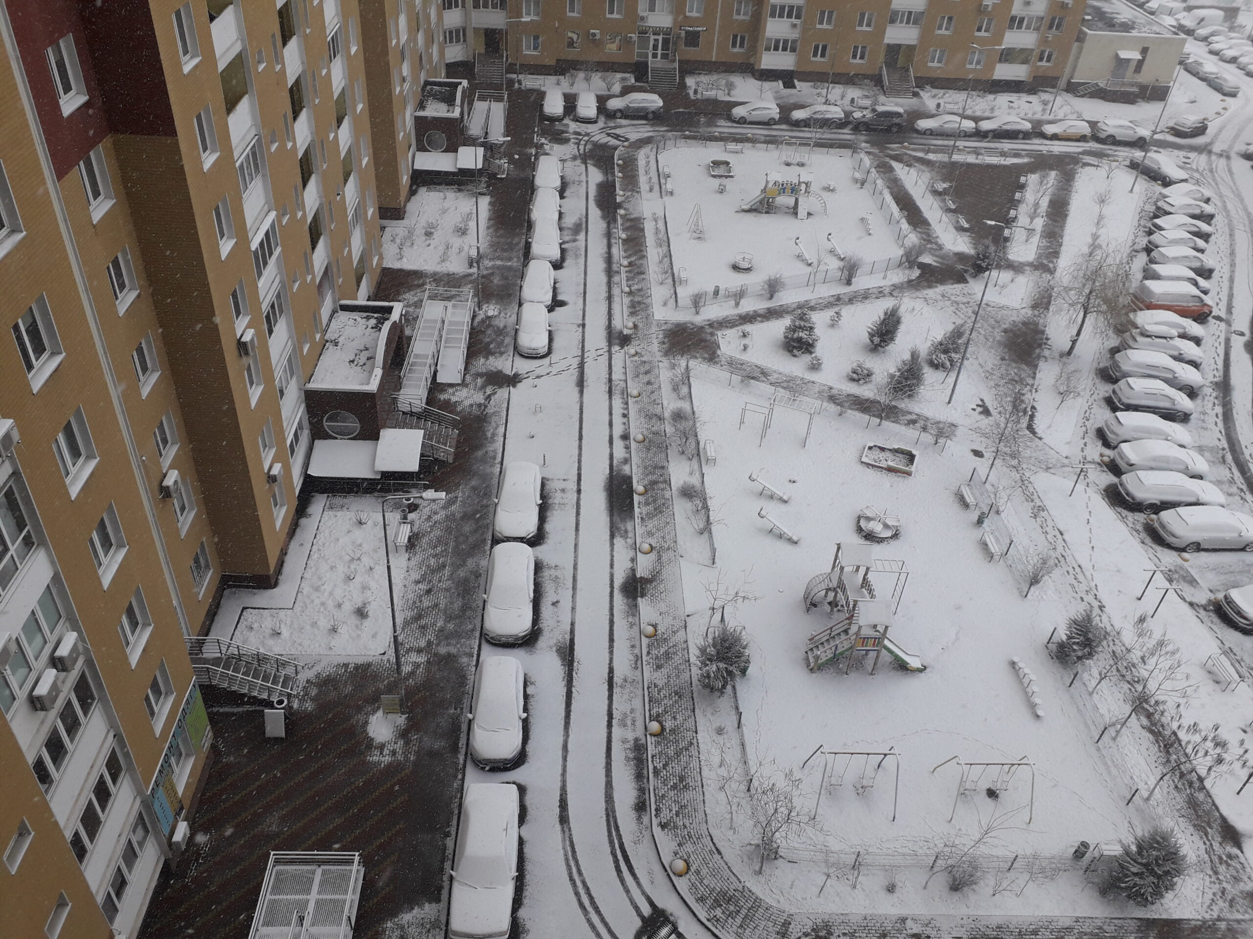 У Києві сніг та сильний вітер