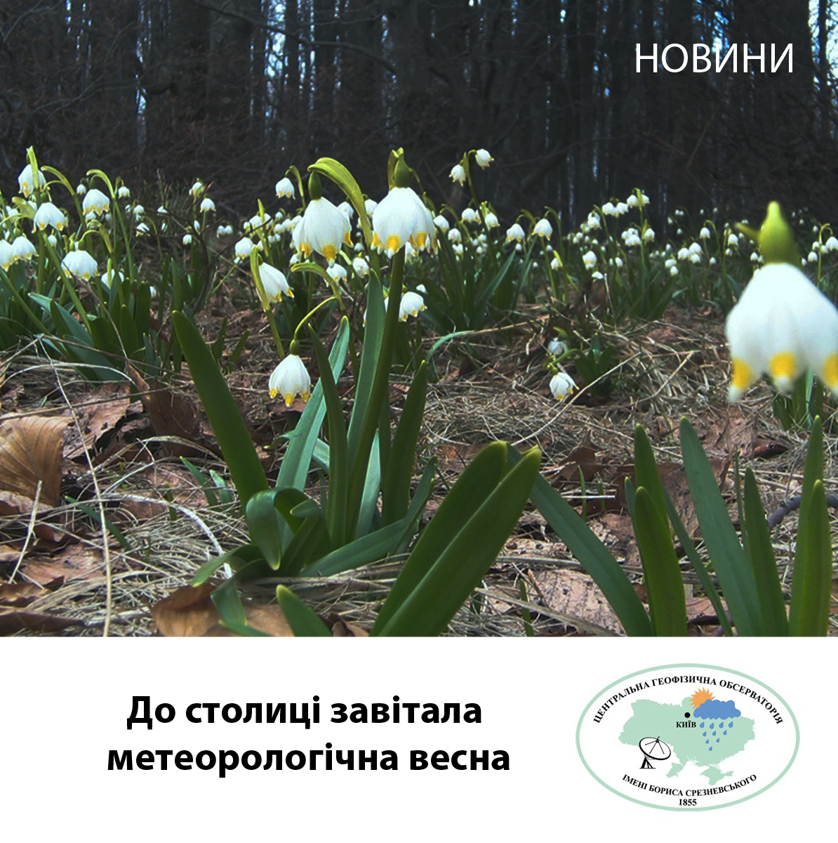 У Києві почалась метеорологічна весна
