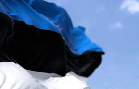 Естонія надасть Україні снайперську зброю і спорядження на майже 500 тисяч євро