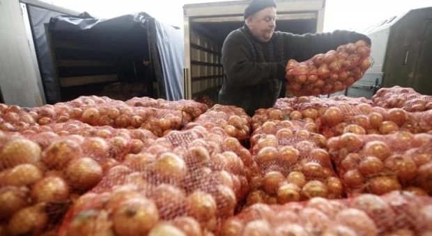 В Україні почалася хвиля зниження цін на цибулю