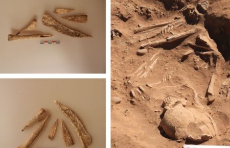Археологи знайшли в Судані знаряддя для знекровлення корів віком 7 тисяч років