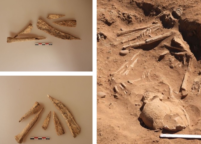 Археологи нашли в Судане орудие для обескровливания коров возрастом 7 тысяч лет