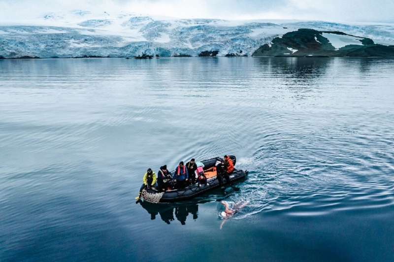 Чилийка впервые в истории проплыла 2,5 километра в Антарктическом океане