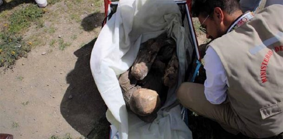У Перу затримали кур'єра з 800-річною мумією в охолоджувальній сумці