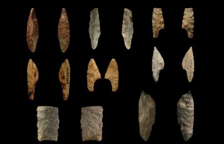 Археологи знайшли докази використання клею у період палеоліту 20 000 років тому