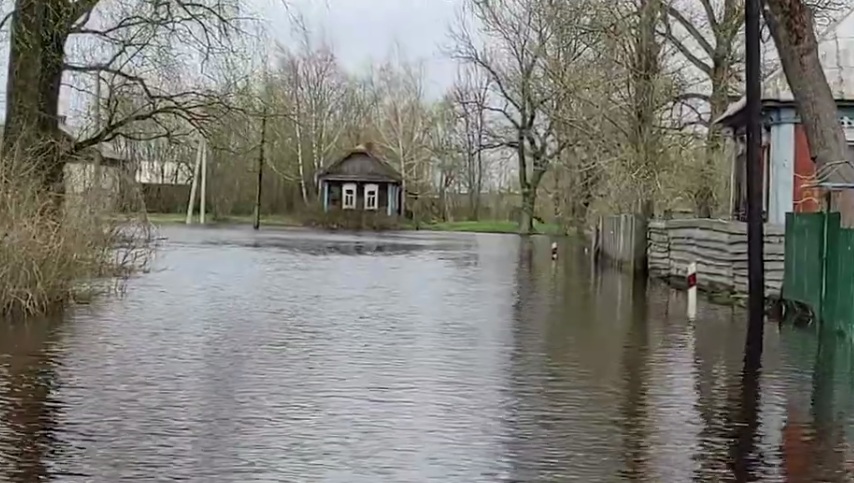 Рятувальники показали наслідки розливу річок на Київщині (ВІДЕО)