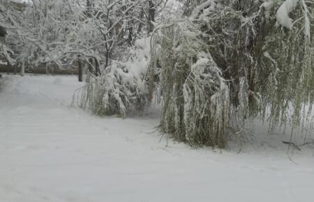 У Чернівцях та області через сніг ускладнений рух на дорогах