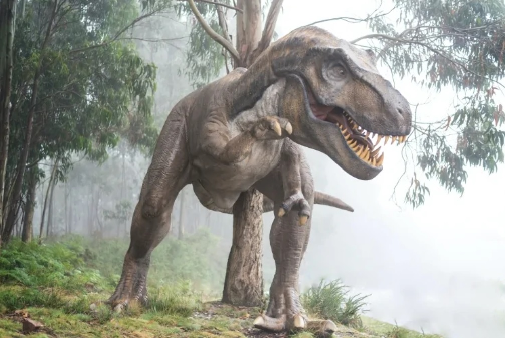 Палеонтологи зʼясували, що тиранозаври мали лускаті губи