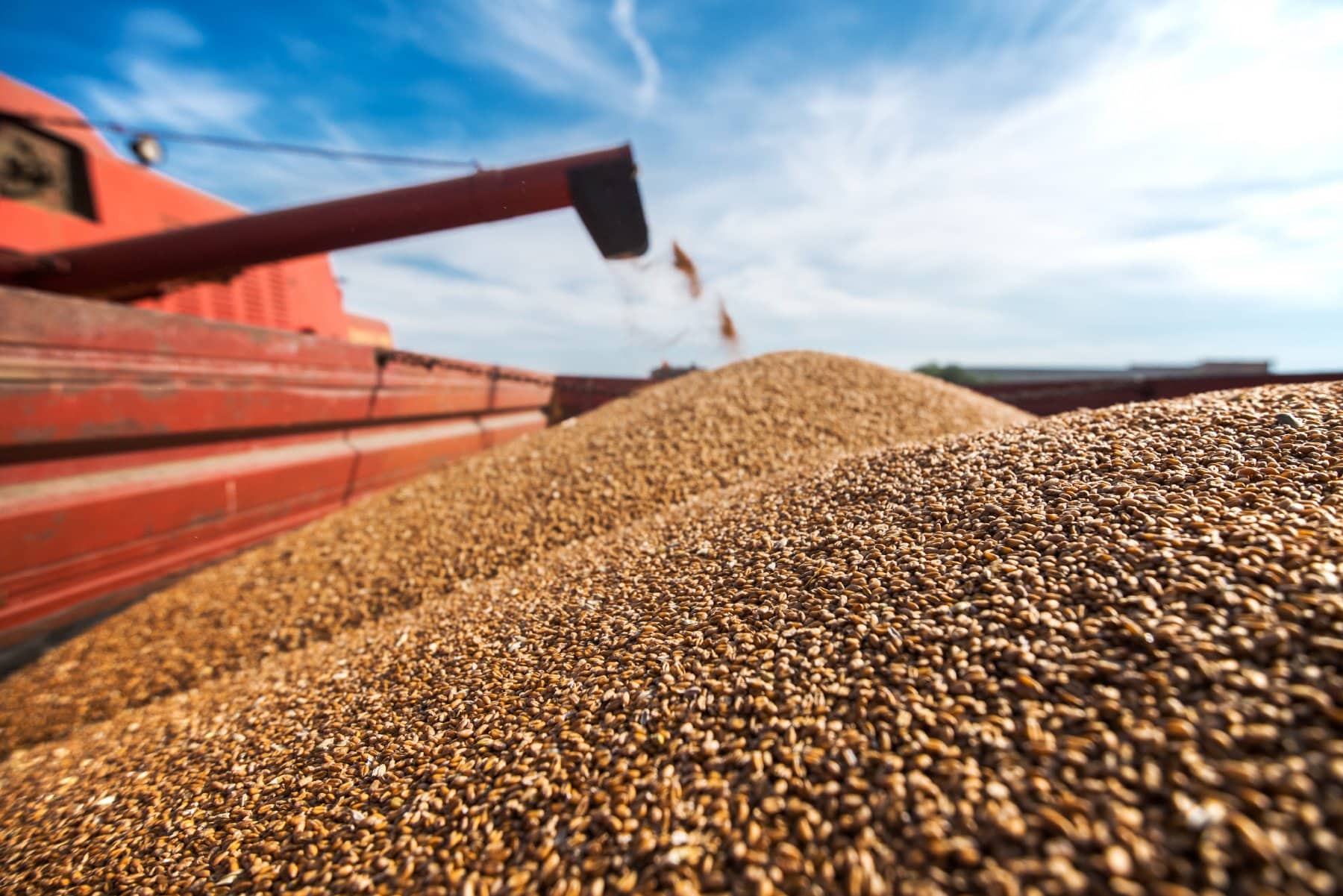В Мінагро повідомили об'єм експорту українського зерна через Чорне море у вересні