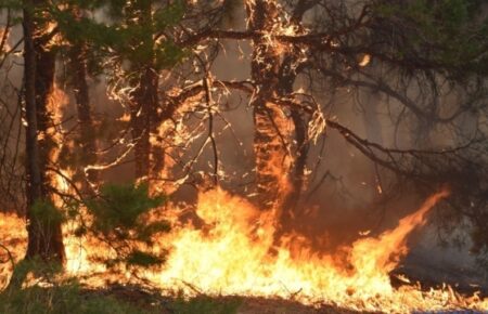 У 18 регіонах РФ вирують лісові пожежі — загинули семеро людей