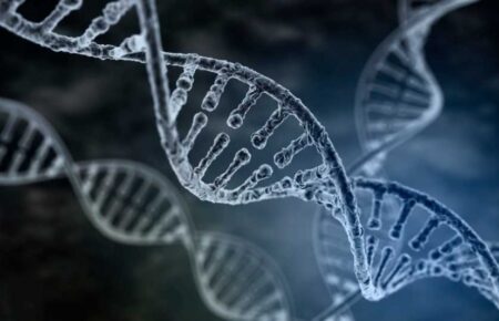 Учені вперше створили колективний геном людства — дослідження