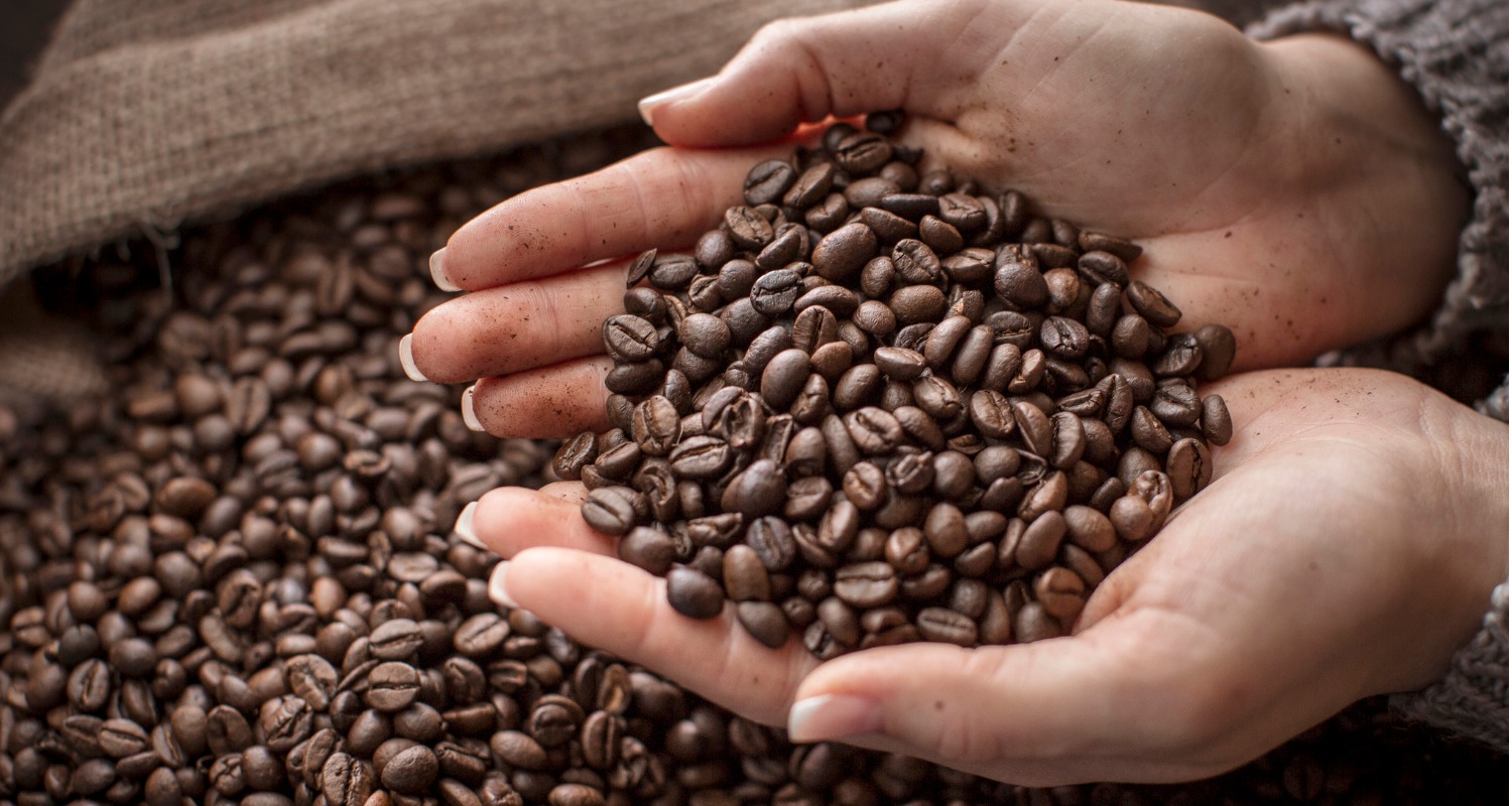 В мире рекордно растут цены на кофе — Bloomberg