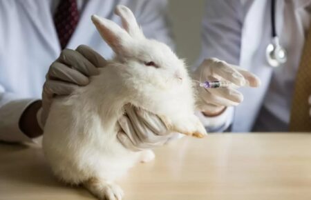 Велика Британія скасувала заборону на тестування косметики на тваринах