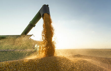 Для відсутності проблем з експортом зерна нам потрібен промисловий безвіз — Василь Шевченко