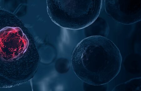 Науковці створили синтетичні людські ембріони за допомогою стовбурових клітин
