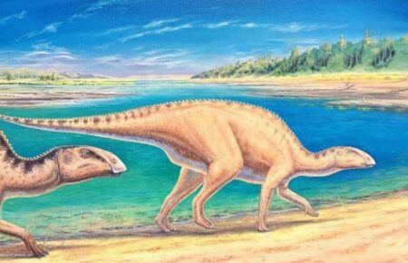 У Чилі виявили рештки нового виду качкодзьобих динозаврів