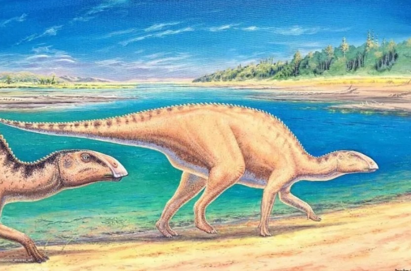 У Чилі виявили рештки нового виду качкодзьобих динозаврів