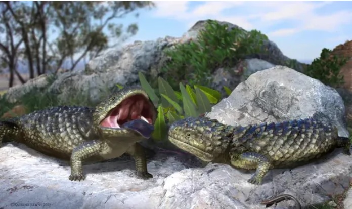 Палеонтологи знайшли скамʼянілості ящірки розміром із людську руку