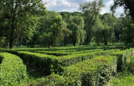 У столичному Голосіївському парку відкрили зелений лабіринт (ФОТО)