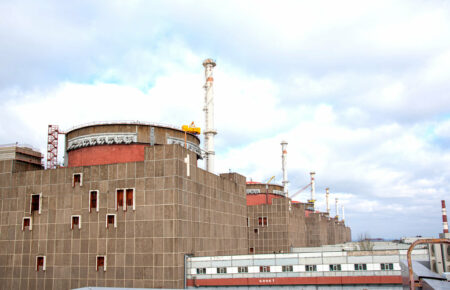 Наші працівники на ЗАЕС —  найбільша надія — радіобіологиня про безпеку на атомній станції