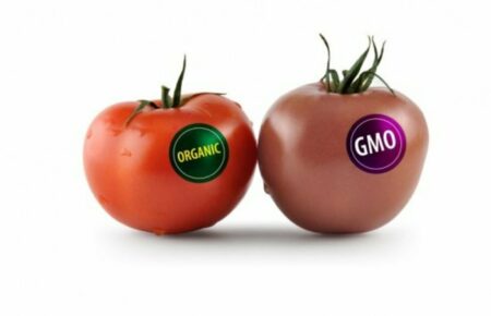 Новий закон про ГМО: за і проти