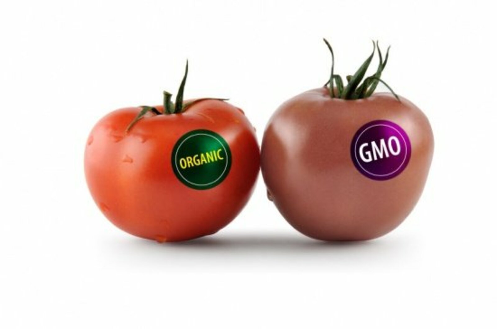 Новий закон про ГМО: за і проти