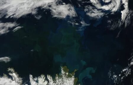 Океани змінили колір через кліматичну кризу — дослідження