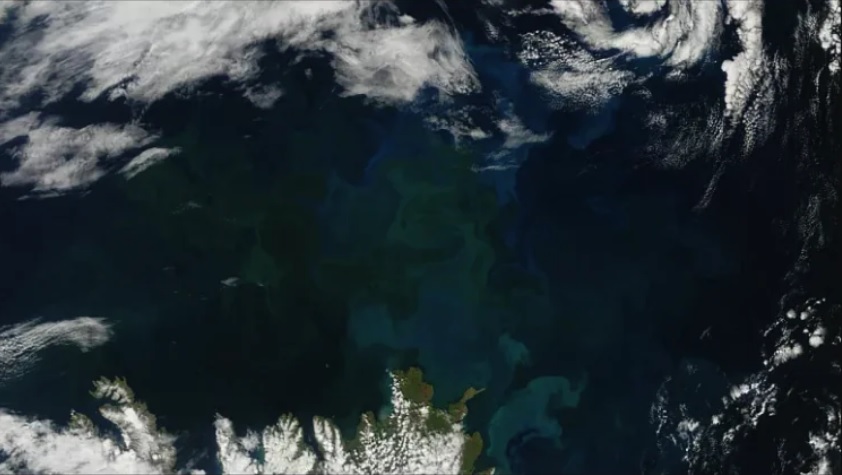 Океани змінили колір через кліматичну кризу — дослідження