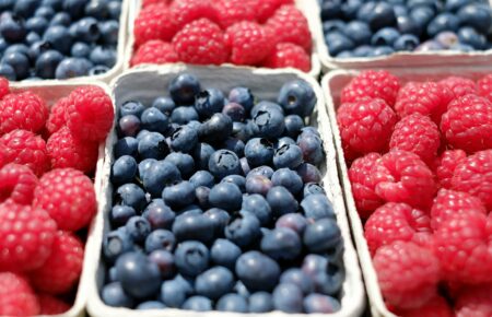 Українська ягода непокоїть польських виробників: у чому причина?
